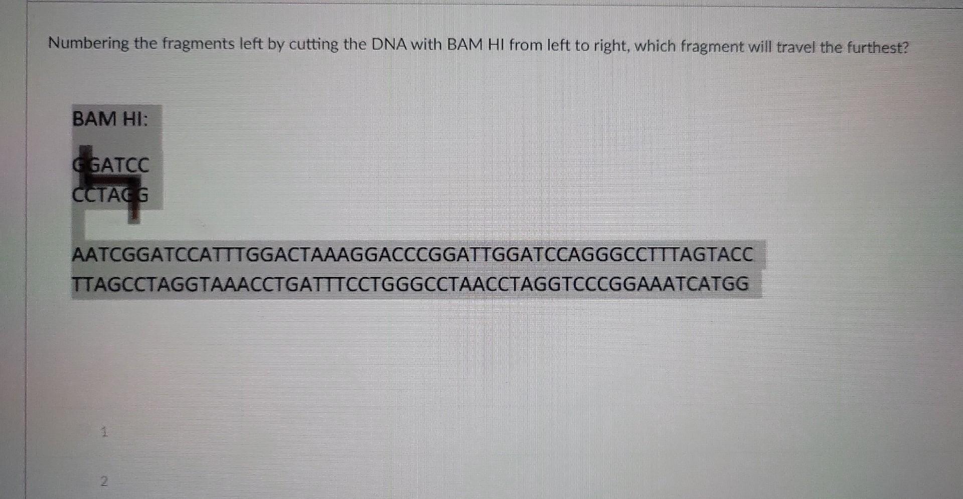 Solved Restriction enzymes specifcally cut and recognize | Chegg.com