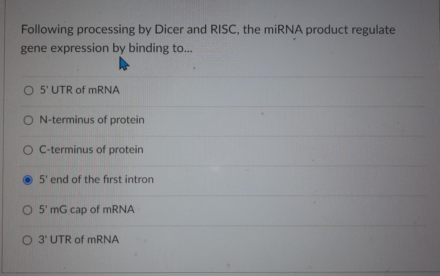 Solved Following processing by Dicer and RISC, the miRNA | Chegg.com