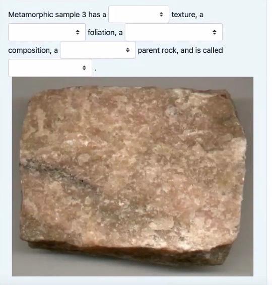 Solved Metamorphic Sample 1 Has A • Texture, A . Foliation, | Chegg.com