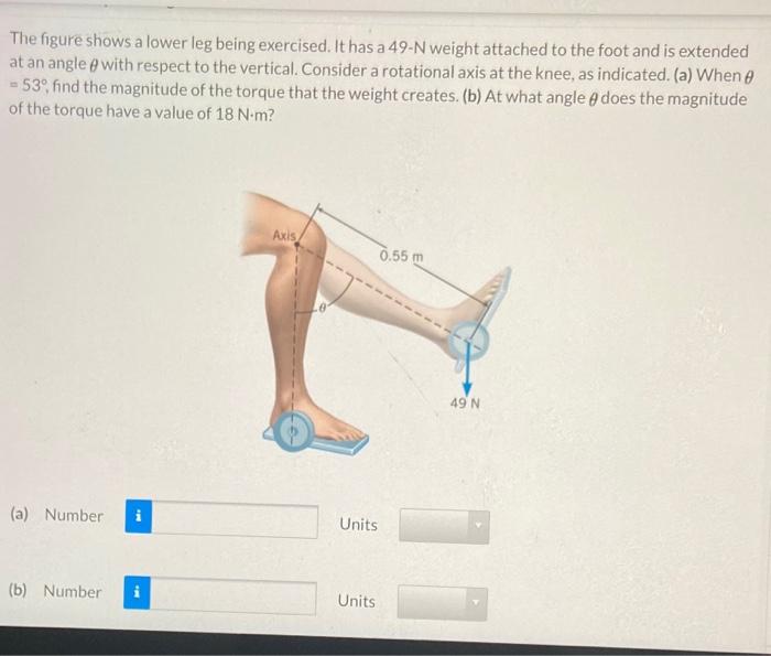 Solved The figure shows a lower leg being exercised. It has | Chegg.com
