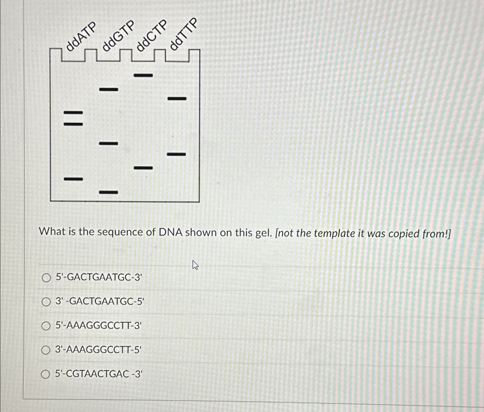 Solved by an EXPERT What is the sequence of DNA shown on this gel. [not ...