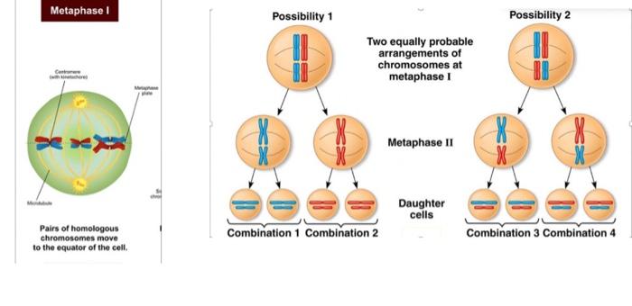 Solved a short explanation of each slide specifically on how | Chegg.com