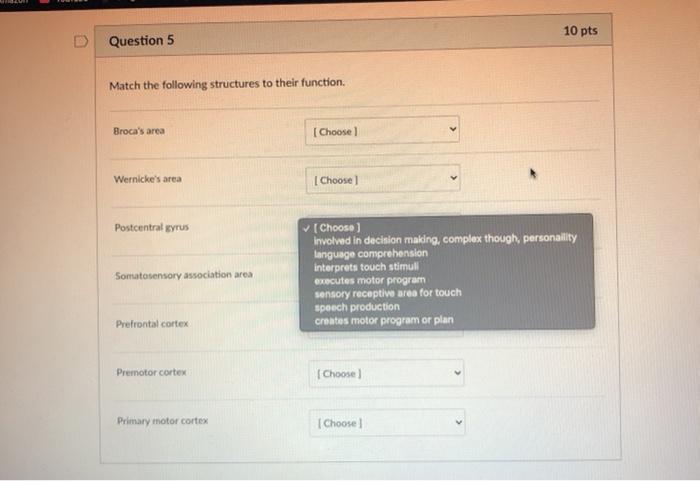 Solved 10 pts Question 5 Match the following structures to | Chegg.com