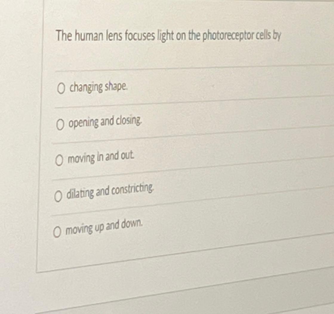 Solved The human lens focuses light on the photoreceptor