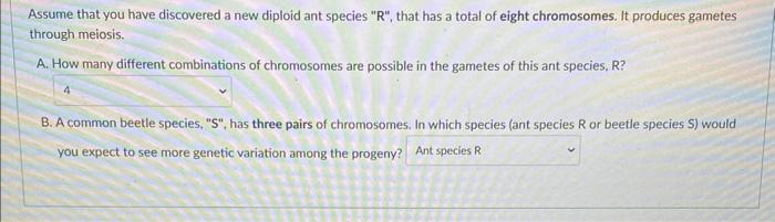 Solved Assume that you have discovered a new diploid ant | Chegg.com