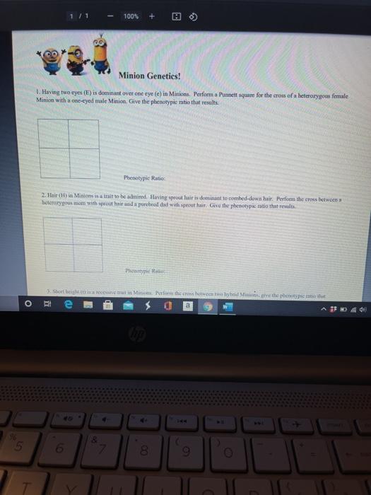Solved 100 ☺ Minion Genetics 1 Having Two Eyese Is