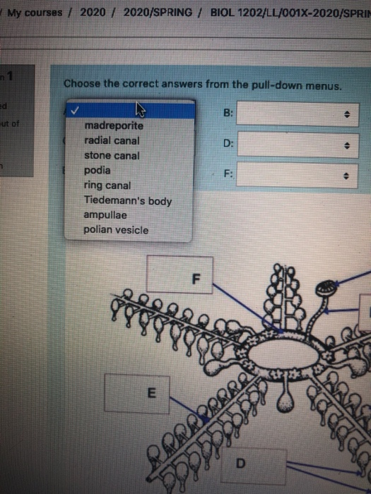 Solved Question 1 Not yet Choose the correct answers from | Chegg.com