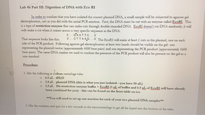 Solved Part B: Do you understand the process of | Chegg.com