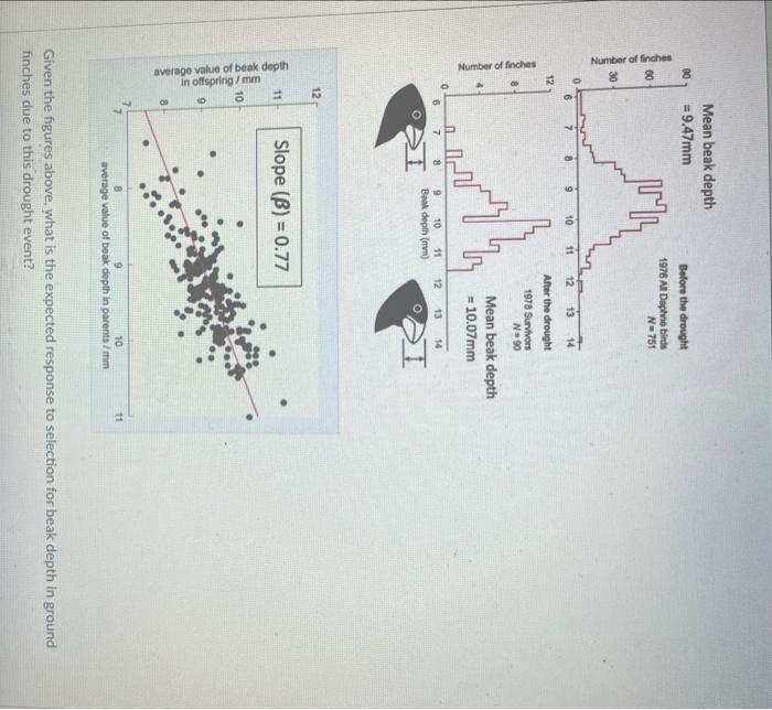 Solved Given the figures above, what is the expected | Chegg.com