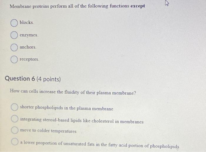 membrane proteins perform all of the following functions except