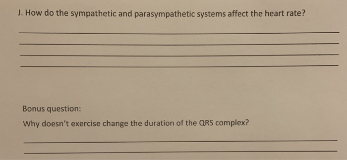 Solved J. How do the sympathetic and parasympathetic systems | Chegg.com