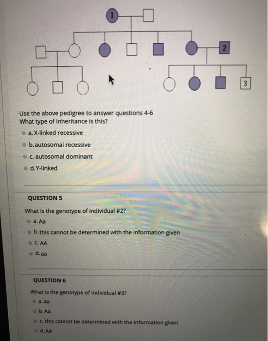Solved O DO Use the above pedigree to answer questions 4-6 | Chegg.com