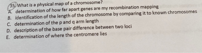 Solved 35 What is a physical map of a chromosome? A. | Chegg.com