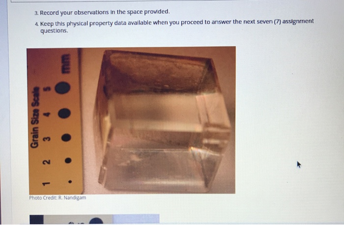 Solved Data Collection 1 Study The Visible Characteristics Chegg