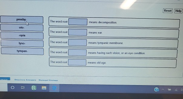 solved-reset-help-presby-the-word-root-means-decomposition-chegg