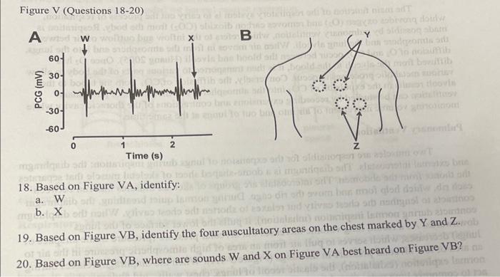 Solved Figure V (Questions 18-20) 18. Based on Figure VA, | Chegg.com
