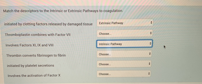 Solved Match the descriptors to the Intrinsic or Extrinsic | Chegg.com