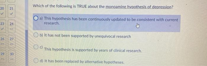 monoamine hypothesis journal