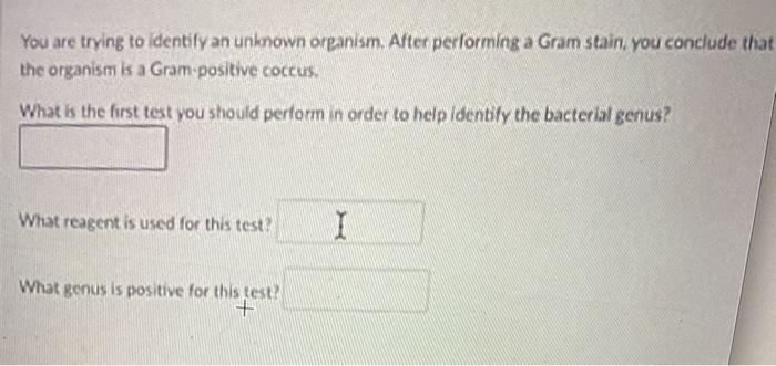 Solved You are trying to identify an unknown organism. After | Chegg.com