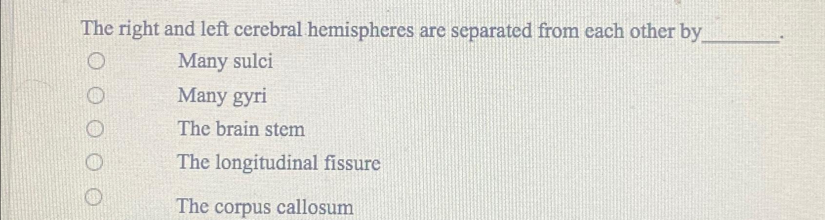 Solved The right and left cerebral hemispheres are separated | Chegg.com