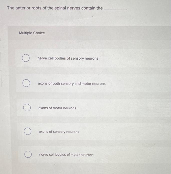 Solved The anterior roots of the spinal nerves contain the | Chegg.com