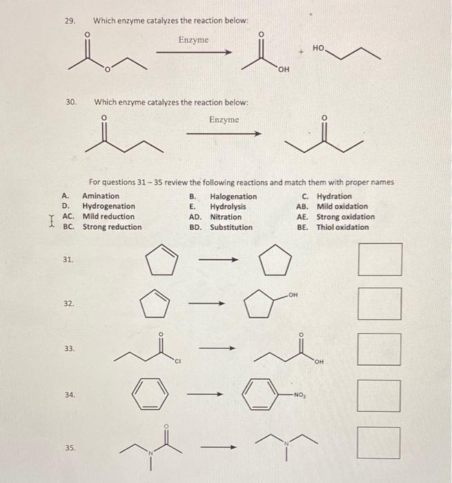 Solved 29. Which enzyme catalyzes the reaction below: OH | Chegg.com