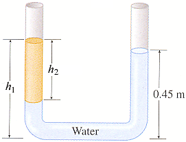 Solved A U-shaped tube is partly filled with water and | Chegg.com