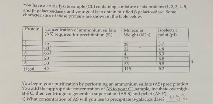 Solved You have a crude lysate sample (CL) containing a | Chegg.com