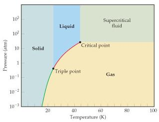 Solved What is the approximate value of the normal melting | Chegg.com