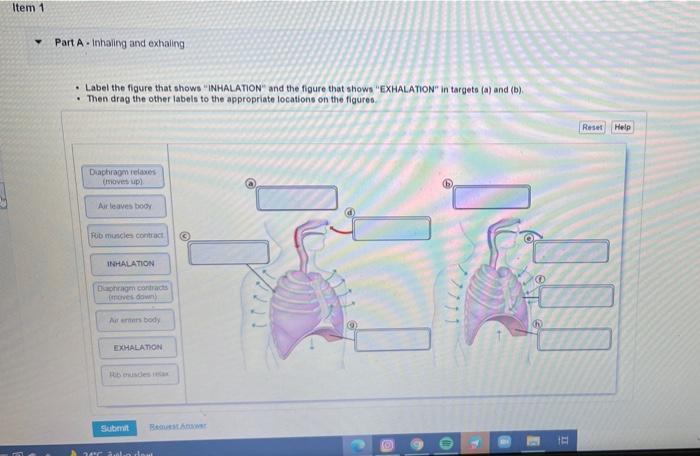 Solved please someone help mei will give you like👍🏻and 5 | Chegg.com