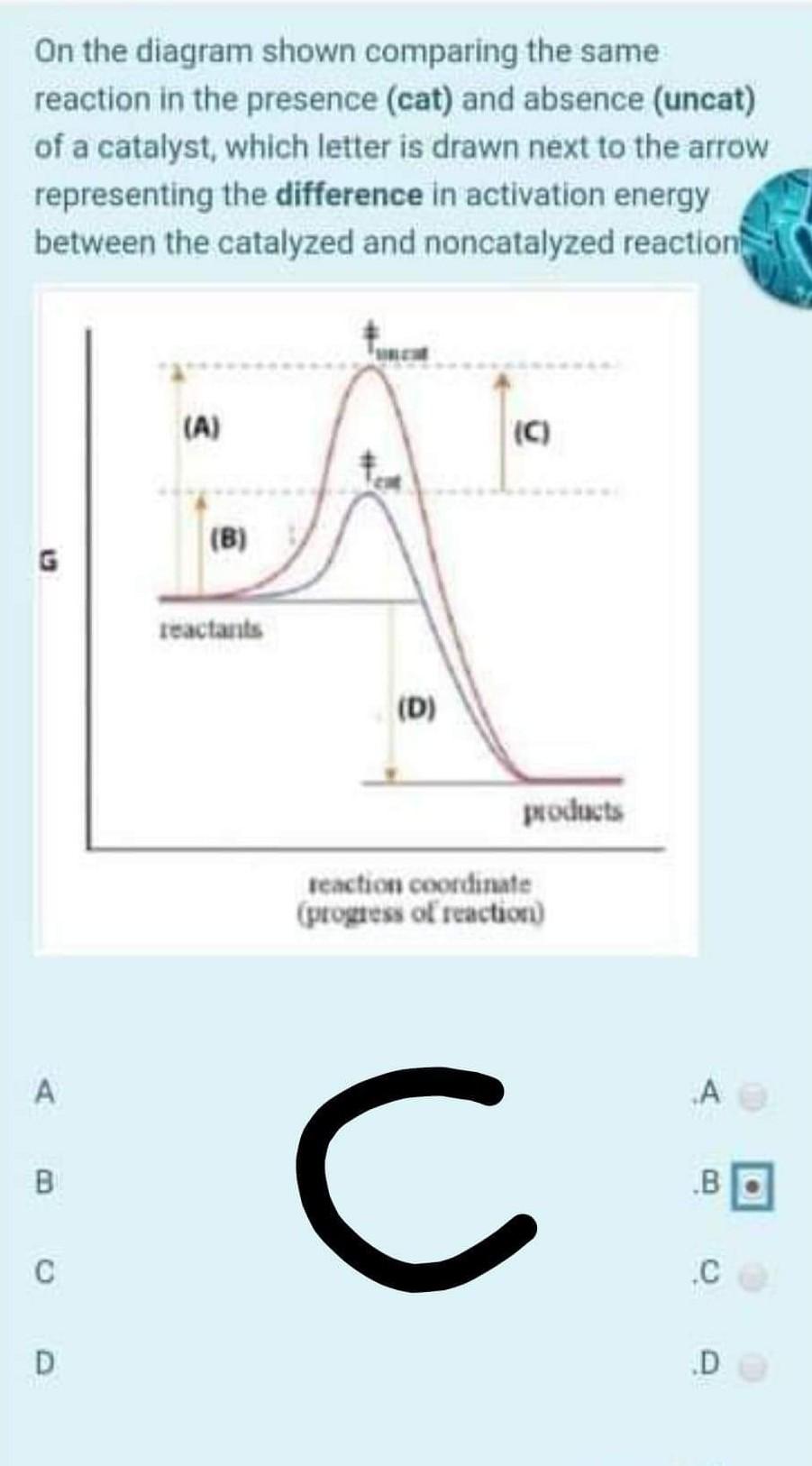 Solved The following graph shows the effect of altering a | Chegg.com