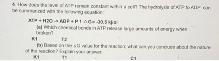 4. How does the level of ATP remain constant within a cell? The hydrolysis of ATP to ADP can be summarized with the following