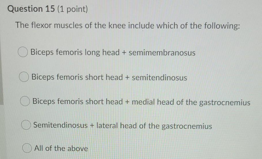 Solved Question 13 (1 point) Muscles that medially rotate | Chegg.com