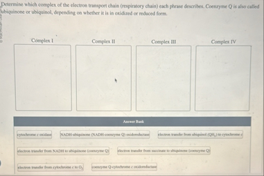 Solved Determine which complex of the electron transport | Chegg.com