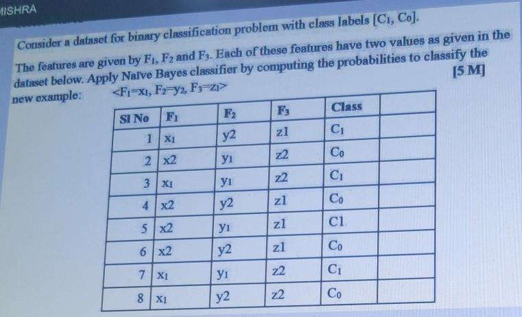 Solved MISHRA Consider a dataset for binary classification | Chegg.com