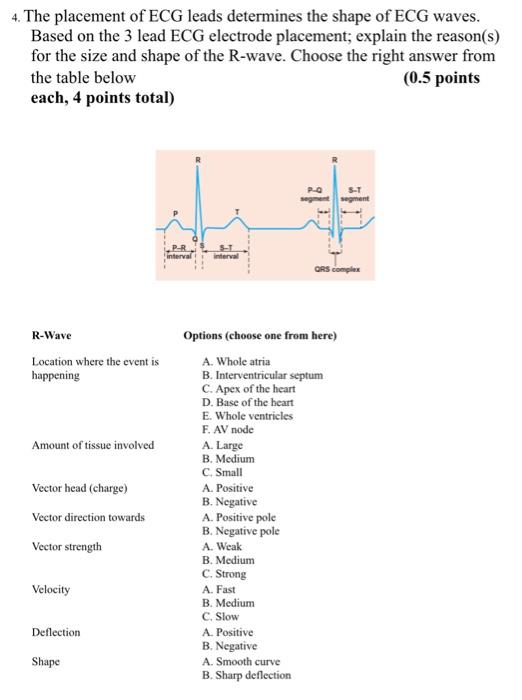 Solved 4. The placement of ECG leads determines the shape of | Chegg.com