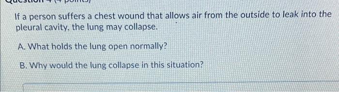 Solved If a person suffers a chest wound that allows air | Chegg.com