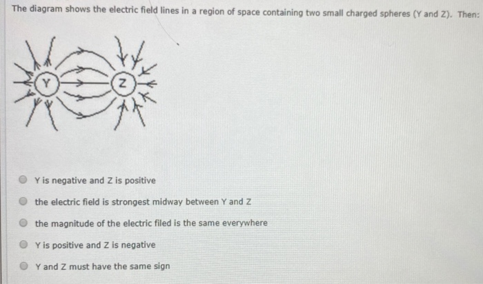 Solved The diagram shows the electric field lines in a | Chegg.com