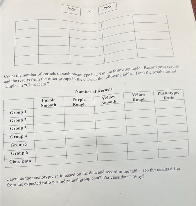 Solved 3 Using The Table Below Determine The Phenotype Of Chegg Com