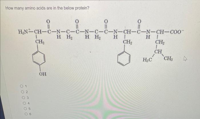 Solved How many amino acids are in the below protein? | Chegg.com