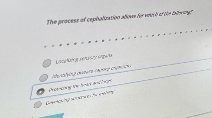 Solved The Process Of Cephalization Allows For Which Of The 