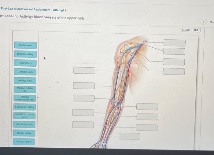 what is vessel assignment