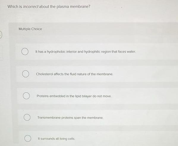 Which Is Incorrect About The Plasma Membrane