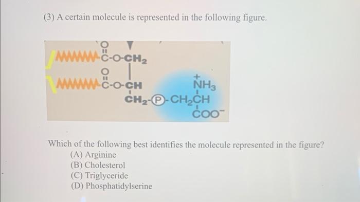 Solved (3) A certain molecule is represented in the | Chegg.com