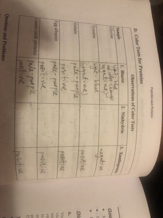 Solved Peptides and Proteins D. Color Tests for Proteins | Chegg.com