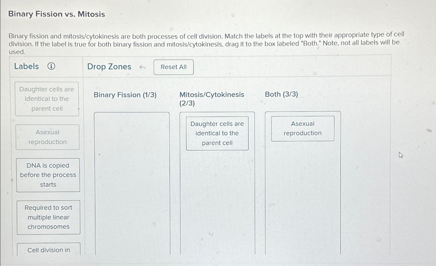 Solved Binary Fission vs. ﻿MitosisBinary fission and Biology Diagrams