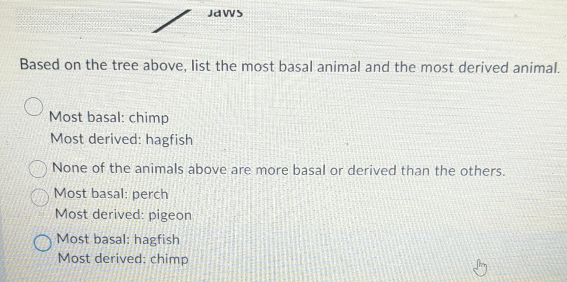 Solved Use the cladogram below to answer questions 4 and 5 . | Chegg.com