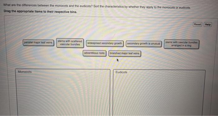 solved-what-are-the-differences-between-the-monocots-and-the-chegg