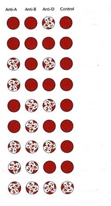 Solved Use the chart to answer the corresponding | Chegg.com