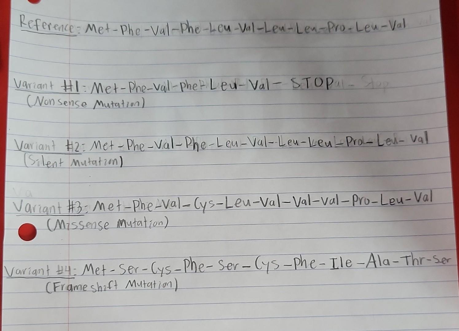 Solved Below is my translation for the reference strain